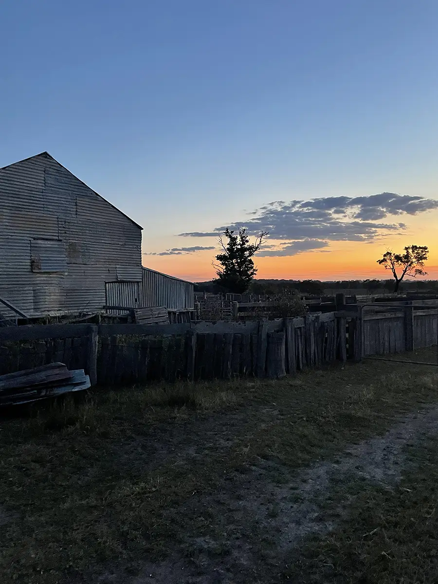 Rustic barn at sunset with wooden fencing